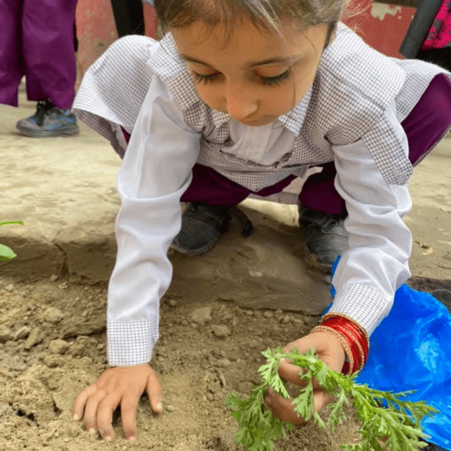 Al-Wahid School System