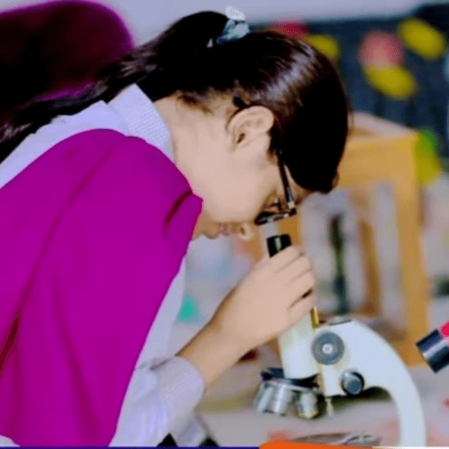 Al-Wahid School System